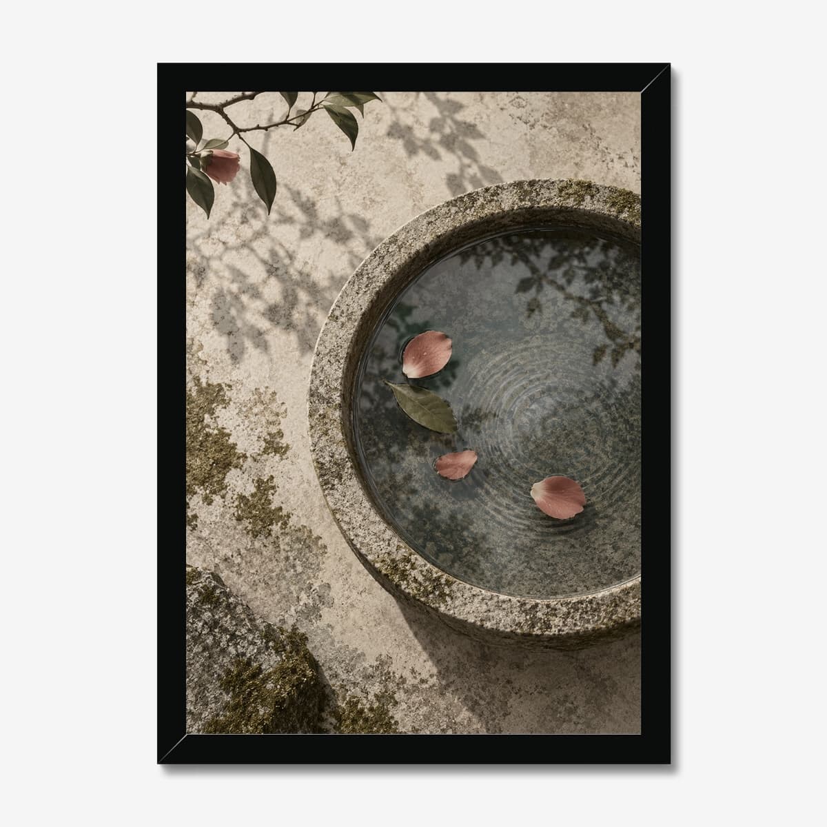 Camellia Stone Basin in a black Classic frame; digital preview