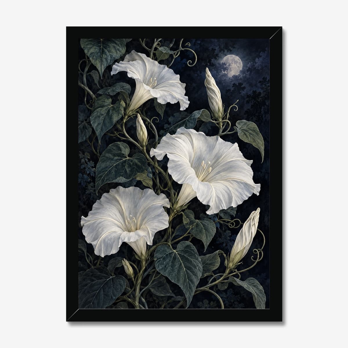 Moonvine Nocturne in a black Classic frame; digital preview