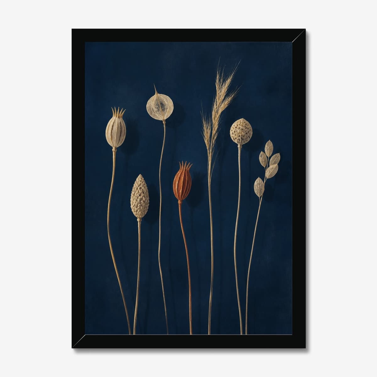 Seed & Shadow in a black Classic frame; digital preview