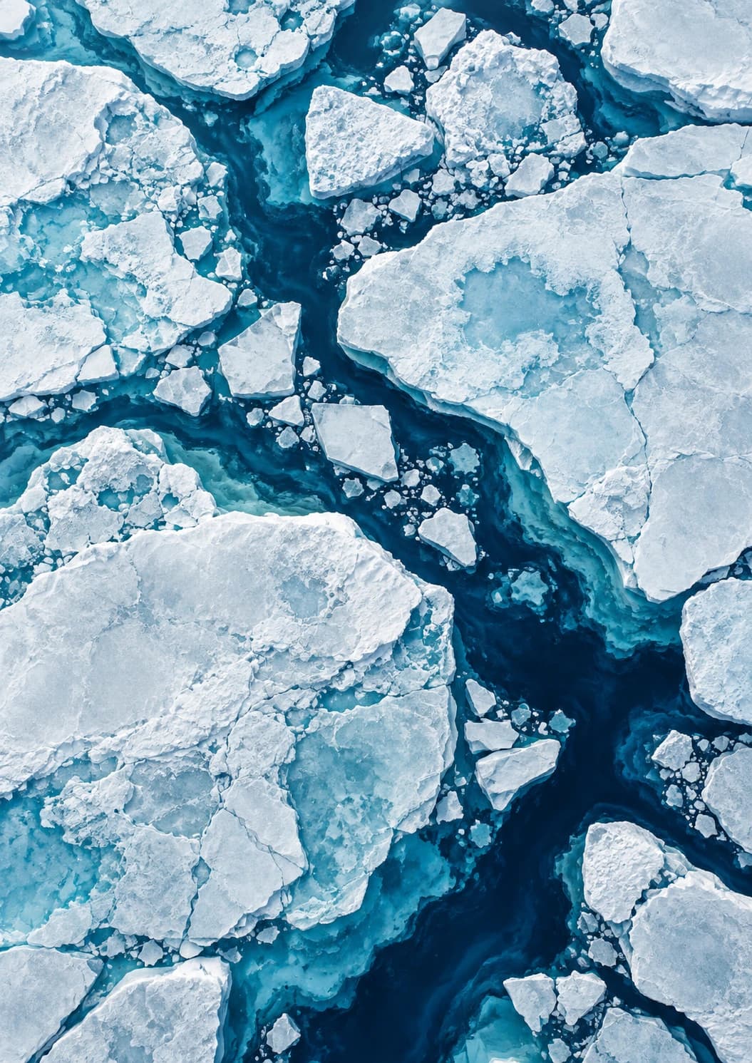 Frozen Mosaic