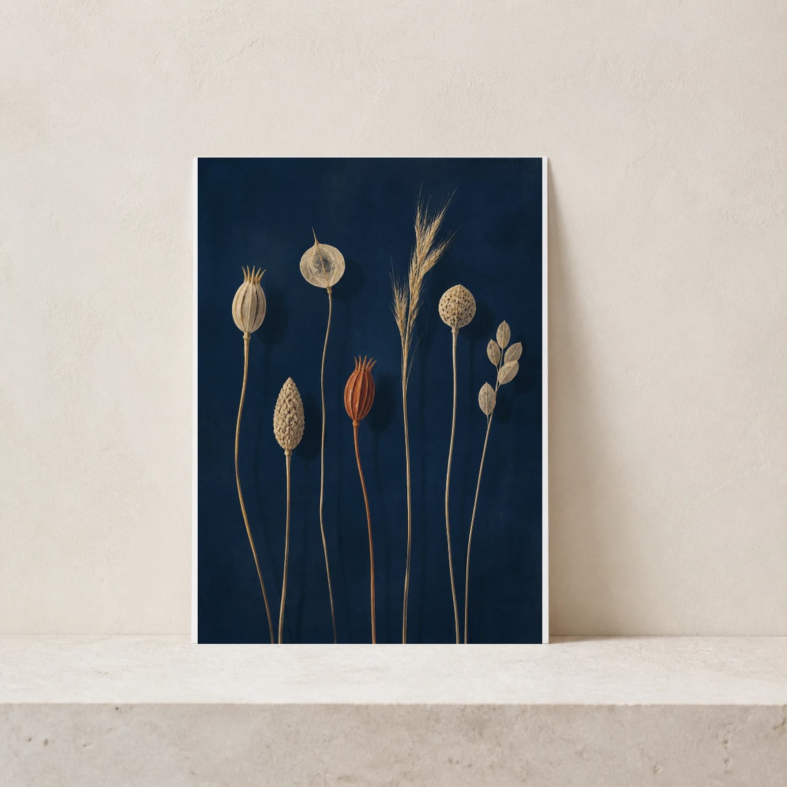 Seed & Shadow paper print